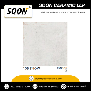 กระเบื้องพอร์ซเลนบิอันโกคุณภาพส่งออกของอินเดีย ขนาด 600x600 มม. สำหรับตกแต่งห้องนอนและห้องนั่งเล่น นำเข้าจากอินเดีย - Product Image 5