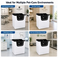 Baignoire professionnelle pour spa pour animaux de compagnie avec panneau frontal transparent pour salon de toilettage pour animaux, supportée par l'usine
