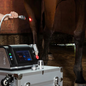 Мощный ветеринарный лазерный аппарат для физиотерапии 810 нм 980 нм, 10-30 Вт, для заживления ран у животных - Product Image 3