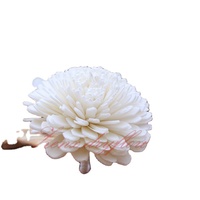 Fleurs artificielles en bois de Sola de Bali, écologiques et fabriquées à la main - Décoration d'intérieur haut de gamme disponible en plusieurs tailles, provenant d'Inde