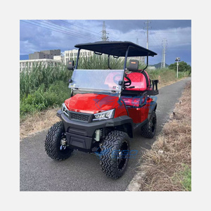 Carrito de golf eléctrico de lujo personalizado al por mayor, estilo Drive Style, para turismo, con batería de litio, transporte especial - Product Image 1