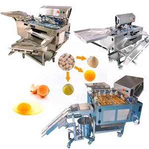 Machine à casser les œufs, <span class=keywords><strong>prix</strong></span> de la machine à briser les œufs, briseur d'œufs liquides pasteurisés - Product Image 4