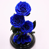 Rose éternelle préservée sous cloche en verre - Longue durée (3-5 ans) - Cadeau idéal pour la remise des diplômes, la Saint-Valentin, la fête des Mères, les anniversaires de mariage