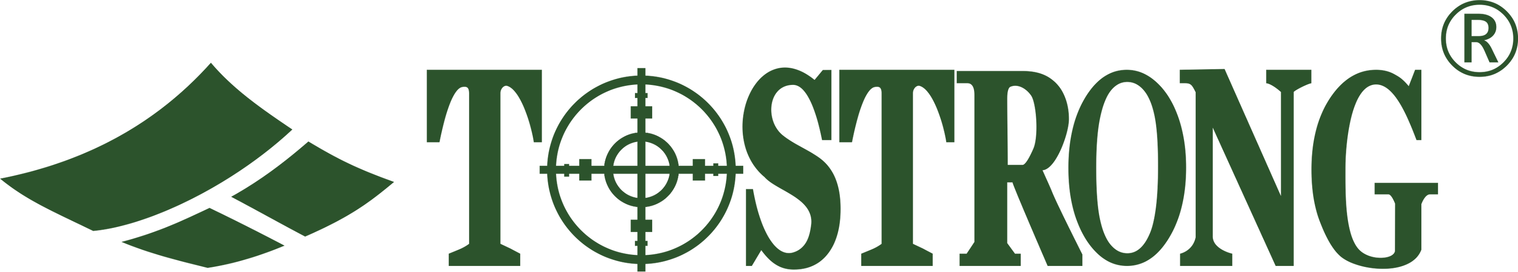 Wuhan Tostrong Accouterments Co., Ltd. logo