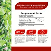 Capsules d'extrait de Cissus Quadrangularis 500mg – Compléments alimentaires à base de plantes – Capsules de Cissus Quadrangularis L.