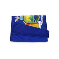 Drapeau extérieur de New York, grand format 3' x 5', en polyester résistant aux intempéries, drapeaux de New York, NY