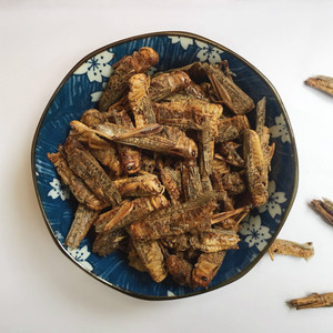Huang Chong แมลงกินได้สำหรับเครื่องเทศและสมุนไพรเดี่ยว - Product Image 2