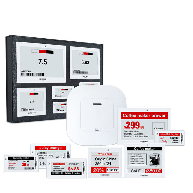 Hipoink Epaper OEM ODM Custom Shopping Mall Electronic Shelf Price Label Tag Demo Kit Plastic ABS Wireless 2.4G