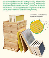 Kit de Colmena Langstroth Benefitbee, Kit Completo de Colmenas para Apicultura con 10 Marcos