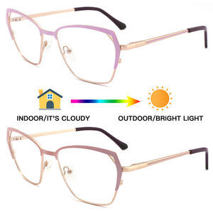 フォトクロミックキャットアイメタル2024最新の眼鏡光学カスタムロゴ2023ファッショナブルな女性男性が光学メガネを製造 - Product Image 2