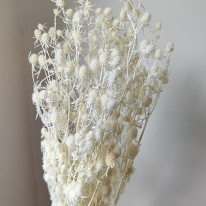 Fleur de mélaleuca stabilisée pour arrangements domestiques, élégant matériau de bouquet pour cadeaux de remise de diplôme, de Pâques et du Nouvel An - Product Image 4