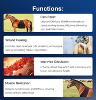 Gadgets 2026 Couverture et tapis de thérapie LED infrarouge et rouge pour chevaux, alimentés par batterie, pour le dos et le corps entier du cheval, 660nm 850nm