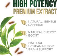 Extrait de thé vert 1000mg Complément alimentaire 3X Force Antioxydant EGCG Boost d'énergie Sans OGM Sans gluten 120