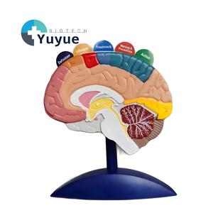 Modelo Anatómico del Funcionamiento del Cerebro Humano con Tarjetas Educativas - Modelo de Enseñanza de Regiones Cerebrales y Convulsiones para Educación Médica - Product Image 1