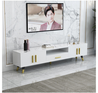 Table Basse et Meuble TV en Marbre Haute Qualité, Style Luxe Léger, Moderne et Simple pour Salon