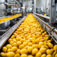 1000 Kg/u Volautomatische Mangosap Productielijn Fruitpulp Maken Verpakkingsmachines Kesar Mango Pulp Fabrikant