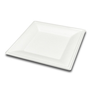 Assiettes carrées jetables biodégradables compostables écologiques blanches pour fêtes, mariages, plats à emporter, camping - Product Image 1