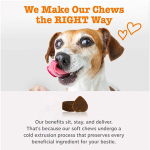 Integratori Personalizzati per la Salute degli Occhi dei Cani, Supporto per Problemi Oculari e Sistema Immunitario - Product Image 4