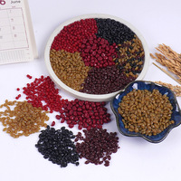 Mini-châtaignes, dattes confites, raisins secs, jouets alimentaires miniatures, accessoires de bricolage en forme de céréales, noix simulées en PVC