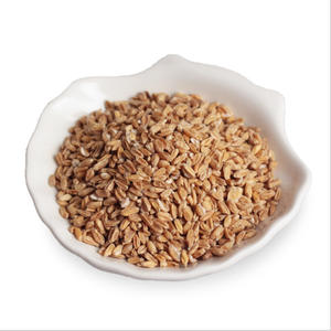 Trigo Crudo Seco Fu <span class=keywords><strong>Xiao</strong></span> <span class=keywords><strong>Mai</strong></span>, Trigo Encogido, Trigo Claro para Hierbas - Product Image 1