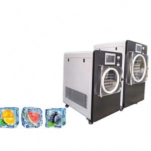 Lyophilisateur domestique de haute qualité 10-12 kg pour fruits et confiseries, lyophilisateur de qualité alimentaire pour fraises et bonbons - Product Image 2