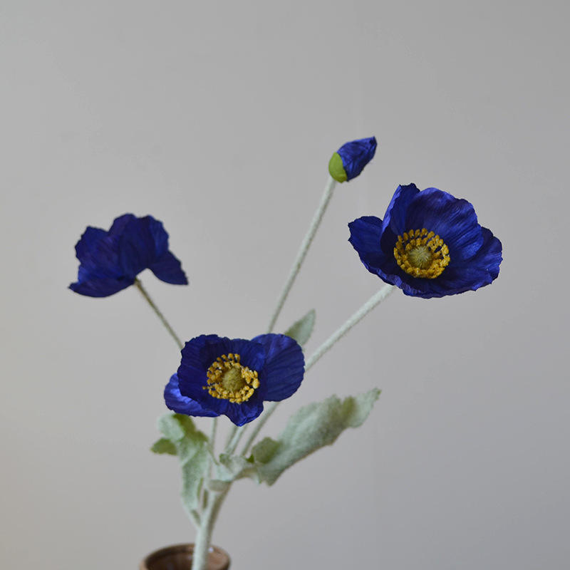 กองทัพเรือ