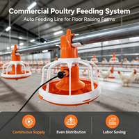 Mangeoire à poulet en plastique anti-UV avec panneau imprimé personnalisé, équipement avicole pour l'élevage de canards et d'oies