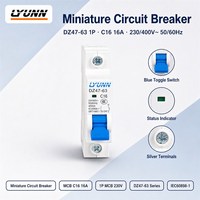 Disjoncteur miniature en plastique LEIYUN DZ47-63 1P C10 C16 C25 C32 63A MCB 6kA à montage sur rail DIN pour usage domestique