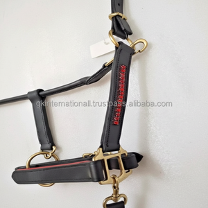 Nouveau design personnalisé licou en cuir rembourré rouge avec chaîne bling en cristaux rouges cheval licou en cuir durable à double couture - Product Image 1