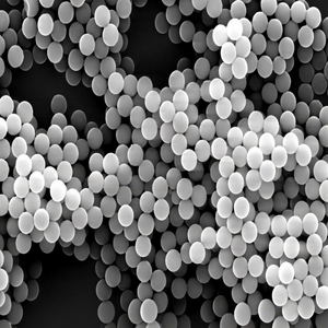 Perles magnétiques NHS pour l'immobilisation des anticorps, pour un couplage rapide des protéines, la conjugation de biomolécules et les applications de recherche IVD - Product Image 1