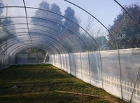 Serre agricole commerciale de petite taille à simple travée, film PE, couverture en polycarbonate, structure en acier galvanisé à chaud, stable