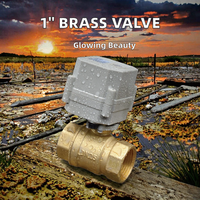 Vanne de régulation proportionnelle en laiton de 1 pouce 4-20mA 0-10V 0-5V DN25 pour gestion électrique de l'eau, normale, garantie 1 an