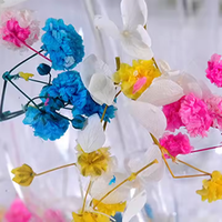 Accessoires pour la maison de fleurs Tasse en verre à boire à double couche Tasse à café créative pour la maison avec poignée