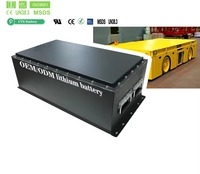 Baterai Kustom 24V 48V 100Ah 200Ah 300Ah 400Ah Lithium Lifepo4 untuk AGV Robot Lift Platform Elevator