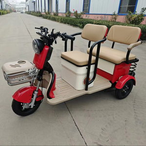 <span class=keywords><strong>Triciclo</strong></span> Eléctrico <span class=keywords><strong>de</strong></span> <span class=keywords><strong>Carga</strong></span> <span class=keywords><strong>Económico</strong></span> <span class=keywords><strong>de</strong></span> 3 Ruedas, Motor <span class=keywords><strong>de</strong></span> 500W/600W/750W, Controlador Inteligente, 48V/60V, Nuevo - Product Image 1