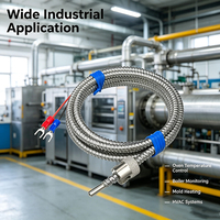 Contrôleur de température à thermocouple de type K RPD, filetage M8, conduit métallique flexible en acier inoxydable, IP65, Modbus RTU, industriel
