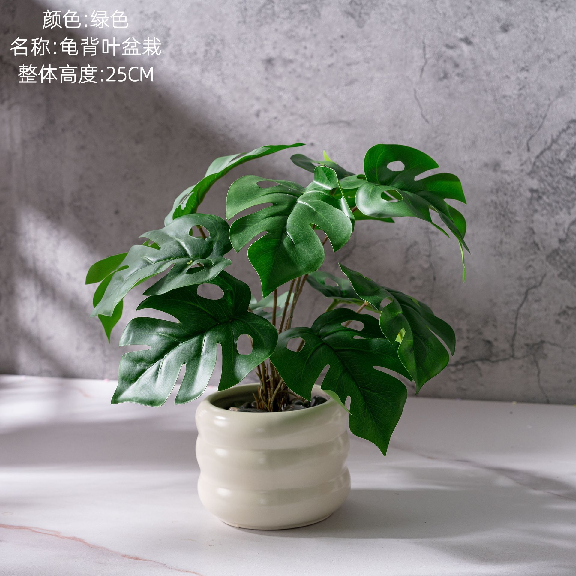 Bonsaï Monstera délicieuse