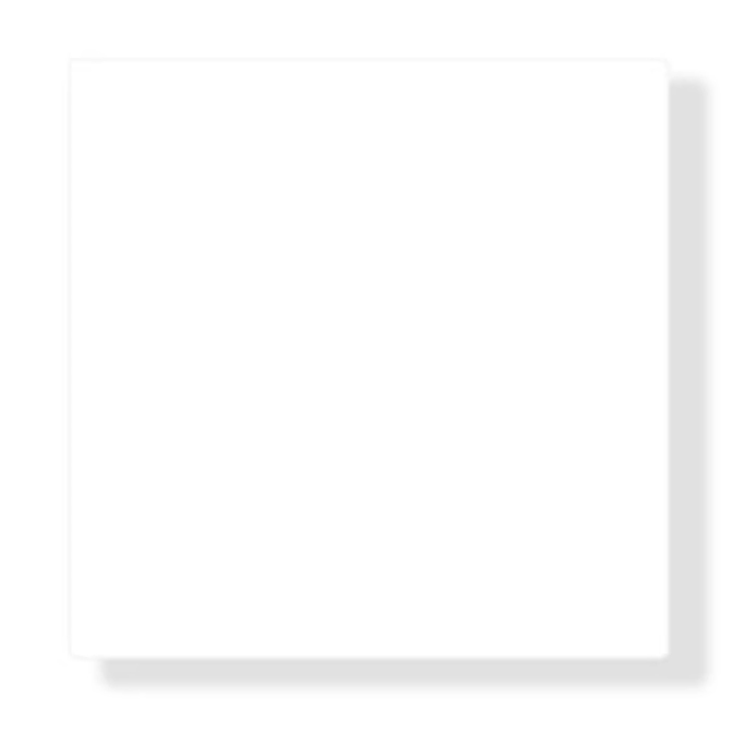 40*40 bianco