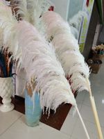 Bunga rumput Pampas krem besar produk baru untuk Dekor pernikahan untuk Natal dan Hari Valentine