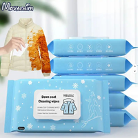 Lingettes Nettoyantes pour Doudounes, 12 Pièces, Personnalisées en Usine, à l'Eau Pure EDI, pH Équilibré, Sans Rinçage, pour l'Entretien des Vêtements