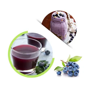 Blueberry concentrate juice Healthdream 4times 8times normal ananas fda gmp haccp iso kosher