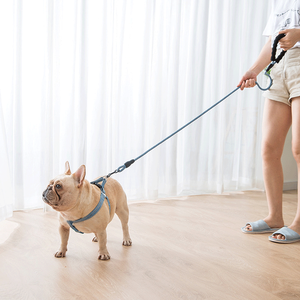 調節可能なナイロン子犬用ベストハーネスクイックリリースアウトドアウォーキングフリーフリープルドッグハーネス子犬用大人犬用 - Product Image 2