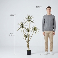 OH ARTS Plantes et verdure artificielles au toucher réel, Arbre Dracaena Marginata, Faux Arbre du Dragon de Luxe, Plante en pot multi-tiges