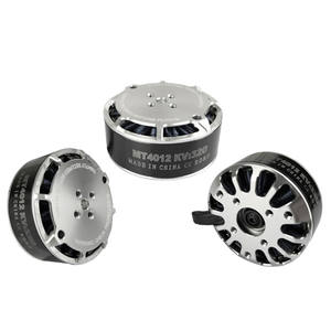 Motor sin Escobillas Tarot Martin 4012 320KV 6S/Motor de Alta Eficiencia y Larga Duración para Multirrotor, 580W de Potencia TL40P12 - Product Image 2