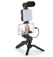 Kit portable de réalisation vidéo en extérieur ay-49 : trépied pieuvre pour téléphone, éclairage LED vidéo, microphone, trépied mains libres, perche à selfie