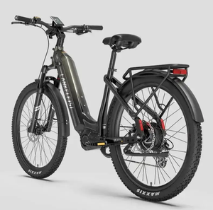VTT électrique Lankeleisi MG600 Lite 250W (pic 650W) 36V 720Wh batterie lithium Maxxis Ardent IP54 Vente en gros - Product Image 1