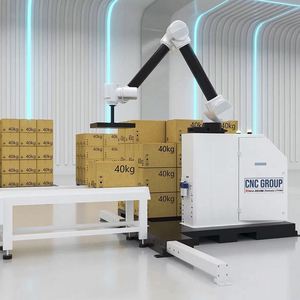 Robot Paletizador de Carga Pesada de 6 Ejes, Robot Automático para Apilado de Cajas, Paletizador de Almacén con Transportador - Product Image 2