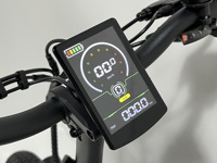 Kit de vélo électrique à pneus gras R5 PRO de haute qualité pour adultes, 48V 14AH, moyeu arrière 350W, double suspension, batterie cachée, électronique intelligente