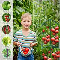 46.85 pouces réglable en acier plante tour piquets tomate concombre treillis jardin Cages pour escalade légumes fleurs Fruits