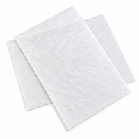 Plaquettes de fibre de verre de diagnostic pour fabricants de kits de test, feuilles de plaquettes en fibre de verre E avec niveaux de MOQ et documents de lot
